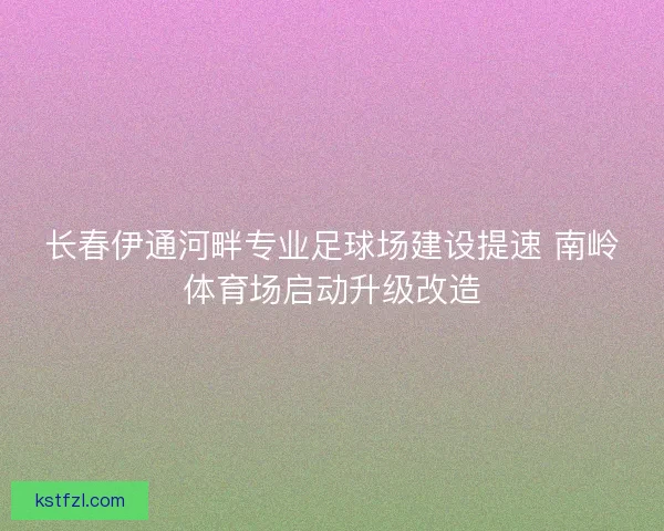 长春伊通河畔专业足球场建设提速 南岭体育场启动升级改造