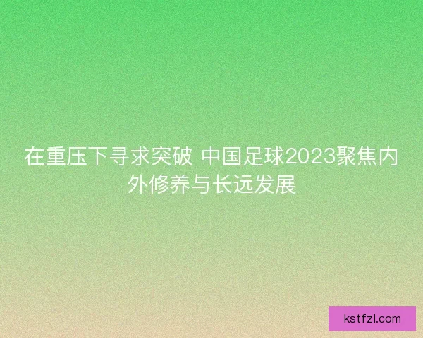 在重压下寻求突破 中国足球2023聚焦内外修养与长远发展